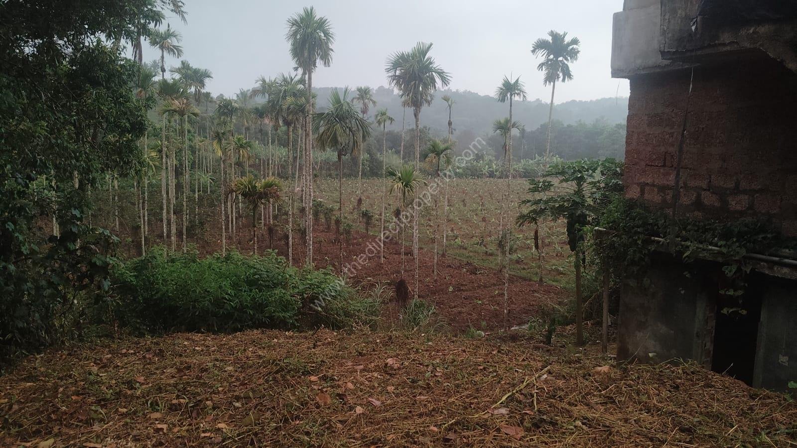 Plot for sale in Mananthavady